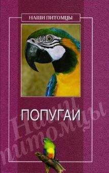 О. Рогов - Попугаи - Читать 📖 Читать онлайн 👀 Читаемые книги читать онлайн бесплатно 🔥 booksread-online.com