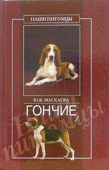 Юлия Маскаева - Гончие - Читать 📖 Читать онлайн 👀 Читаемые книги читать онлайн бесплатно 🔥 booksread-online.com