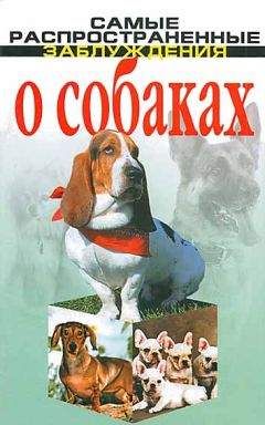 Денис Дудинский - Самые распространенные заблуждения о собаках - Читать 📖 Читать онлайн 👀 Читаемые книги читать онлайн бесплатно 🔥 booksread-online.com