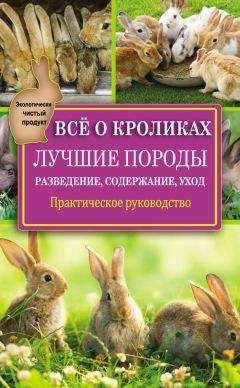 Виктор Горбунов - Всё о кроликах: разведение, содержание, уход. Практическое руководство - Читать 📖 Читать онлайн 👀 Читаемые книги читать онлайн бесплатно 🔥 booksread-online.com