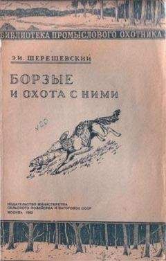 Э Шерешевский - Борзые и охота с ними - Читать 📖 Читать онлайн 👀 Читаемые книги читать онлайн бесплатно 🔥 booksread-online.com