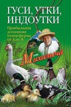 Николай Звонарев - Гуси, утки, индоутки. Прибыльная домашняя птицеферма от А до Я - Читать 📖 Читать онлайн 👀 Читаемые книги читать онлайн бесплатно 🔥 booksread-online.com