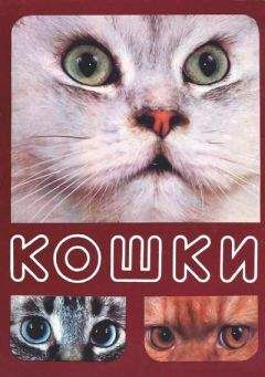 Николай Непомнящий - Кошки - Читать 📖 Читать онлайн 👀 Читаемые книги читать онлайн бесплатно 🔥 booksread-online.com