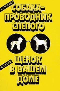 Владимир Гусев - Щенок в вашем доме - Читать 📖 Читать онлайн 👀 Читаемые книги читать онлайн бесплатно 🔥 booksread-online.com