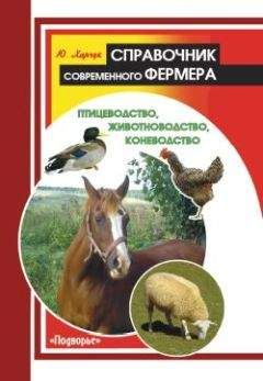 Юрий Харчук - Справочник современного фермера. Птицеводство, животноводство, коневодство - Читать 📖 Читать онлайн 👀 Читаемые книги читать онлайн бесплатно 🔥 booksread-online.com