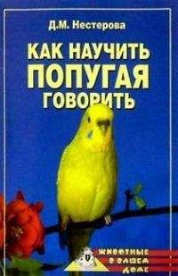 Дарья Нестерова - Как научить попугая говорить - Читать 📖 Читать онлайн 👀 Читаемые книги читать онлайн бесплатно 🔥 booksread-online.com