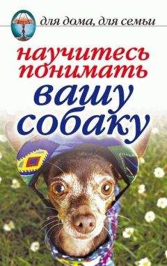 Ирина Зайцева - Научитесь понимать вашу собаку - Читать | Читать онлайн | Читаемые книги читать онлайн бесплатно | booksread-online.com