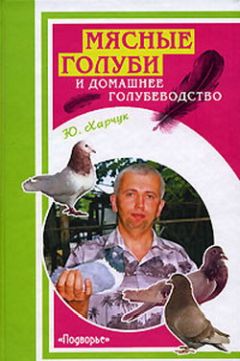 Юрий Харчук - Мясные голуби и домашнее голубеводство - Читать 📖 Читать онлайн 👀 Читаемые книги читать онлайн бесплатно 🔥 booksread-online.com