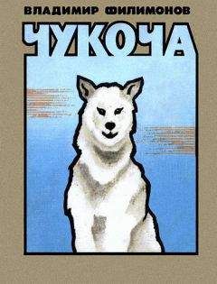 Владимир Филимонов - Чукоча - Читать 📖 Читать онлайн 👀 Читаемые книги читать онлайн бесплатно 🔥 booksread-online.com