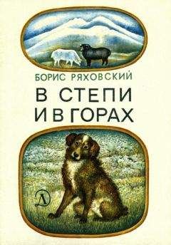 Борис Ряховский - В степи и в горах - Читать 📖 Читать онлайн 👀 Читаемые книги читать онлайн бесплатно 🔥 booksread-online.com