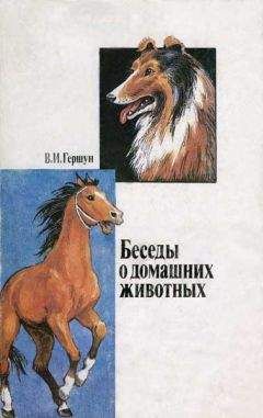 Владимир Гершун - Любящие нас больше, чем себя - Читать 📖 Читать онлайн 👀 Читаемые книги читать онлайн бесплатно 🔥 booksread-online.com