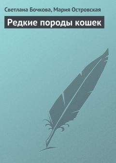 Светлана Бочкова - Редкие породы кошек - Читать 📖 Читать онлайн 👀 Читаемые книги читать онлайн бесплатно 🔥 booksread-online.com