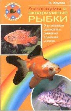 Петр Хлусов - Аквариумы и аквариумные рыбки. Опыт успешного содержания и разведения в домашних условиях - Читать 📖 Читать онлайн 👀 Читаемые книги читать онлайн бесплатно 🔥 booksread-online.com