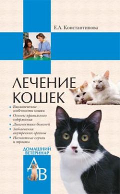 Екатерина Константинова - Лечение кошек - Читать 📖 Читать онлайн 👀 Читаемые книги читать онлайн бесплатно 🔥 booksread-online.com