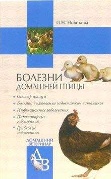 Ирина Новикова - Болезни домашней птицы - Читать 📖 Читать онлайн 👀 Читаемые книги читать онлайн бесплатно 🔥 booksread-online.com