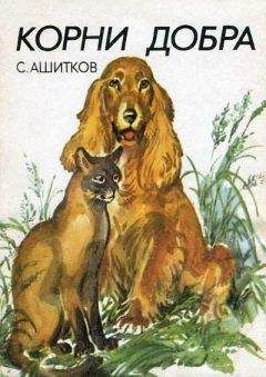 Сергей Ашитков - Корни добра (Главы из книги) - Читать 📖 Читать онлайн 👀 Читаемые книги читать онлайн бесплатно 🔥 booksread-online.com