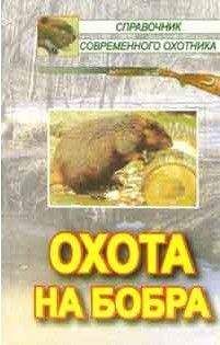 Андрей Беляченко - Охота на бобра - Читать 📖 Читать онлайн 👀 Читаемые книги читать онлайн бесплатно 🔥 booksread-online.com