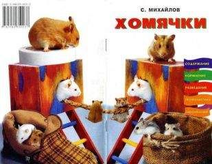 С. Михайлов - Хомячки - Читать 📖 Читать онлайн 👀 Читаемые книги читать онлайн бесплатно 🔥 booksread-online.com