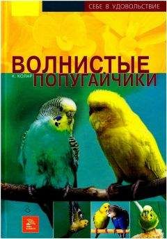 Курт Колар - Волнистые попугайчики - Читать 📖 Читать онлайн 👀 Читаемые книги читать онлайн бесплатно 🔥 booksread-online.com