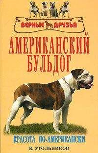 К. Угольников - Американский бульдог - Читать 📖 Читать онлайн 👀 Читаемые книги читать онлайн бесплатно 🔥 booksread-online.com