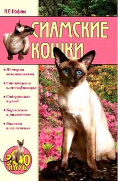 Ирина Иофина - Сиамские кошки - Читать 📖 Читать онлайн 👀 Читаемые книги читать онлайн бесплатно 🔥 booksread-online.com