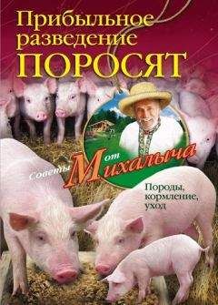 Николай Звонарев - Прибыльное разведение поросят. Породы, кормление, уход - Читать 📖 Читать онлайн 👀 Читаемые книги читать онлайн бесплатно 🔥 booksread-online.com