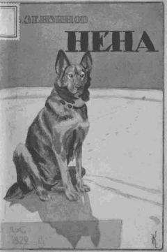 Владимир Зензинов - Нена - Читать | Читать онлайн | Читаемые книги читать онлайн бесплатно | booksread-online.com