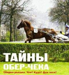 Алла Полончук - Тайны обер-чека. Сборка рысака. Что? Куда? Для чего? - Читать | Читать онлайн | Читаемые книги читать онлайн бесплатно | booksread-online.com