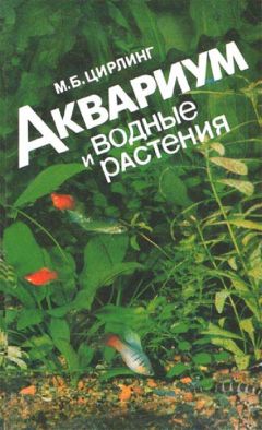 М.Б. Цирлинг - Аквариум и водные растения - Читать 📖 Читать онлайн 👀 Читаемые книги читать онлайн бесплатно 🔥 booksread-online.com