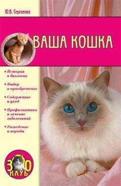 Юлия Сергиенко - Ваша кошка - Читать 📖 Читать онлайн 👀 Читаемые книги читать онлайн бесплатно 🔥 booksread-online.com