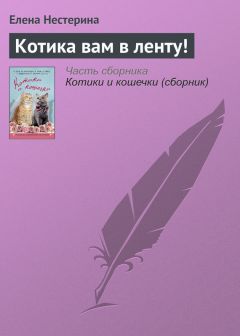 Елена Нестерина - Котика вам в ленту! - Читать 📖 Читать онлайн 👀 Читаемые книги читать онлайн бесплатно 🔥 booksread-online.com