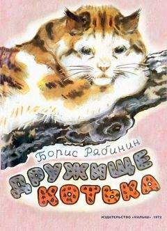 Борис Рябинин - Дружище Котька - Читать 📖 Читать онлайн 👀 Читаемые книги читать онлайн бесплатно 🔥 booksread-online.com