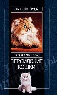 Линиза Жалпанова - Персидские кошки - Читать 📖 Читать онлайн 👀 Читаемые книги читать онлайн бесплатно 🔥 booksread-online.com