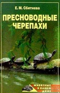 Евгения Сбитнева - Пресноводные черепахи - Читать 📖 Читать онлайн 👀 Читаемые книги читать онлайн бесплатно 🔥 booksread-online.com