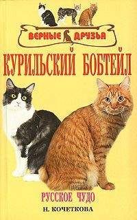 Н. Кочеткова - Курильский бобтейл - Читать 📖 Читать онлайн 👀 Читаемые книги читать онлайн бесплатно 🔥 booksread-online.com