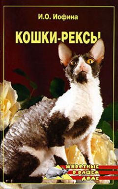 Ирина Иофина - Кошки – рексы - Читать 📖 Читать онлайн 👀 Читаемые книги читать онлайн бесплатно 🔥 booksread-online.com