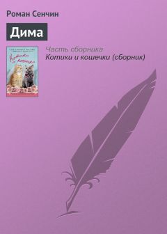 Роман Сенчин - Дима - Читать 📖 Читать онлайн 👀 Читаемые книги читать онлайн бесплатно 🔥 booksread-online.com
