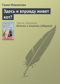 Галия Мавлютова - Здесь и вправду живет кот? - Читать 📖 Читать онлайн 👀 Читаемые книги читать онлайн бесплатно 🔥 booksread-online.com