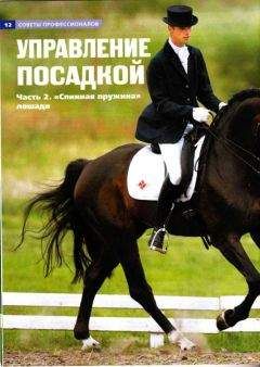 Автор неизвестен - Управление посадкой. Часть 2 &quot;Спинная пружина&quot; лошади. - Читать 📖 Читать онлайн 👀 Читаемые книги читать онлайн бесплатно 🔥 booksread-online.com
