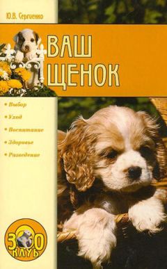 Юлия Сергеенко - Ваш щенок - Читать 📖 Читать онлайн 👀 Читаемые книги читать онлайн бесплатно 🔥 booksread-online.com