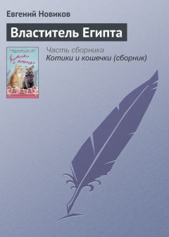 Евгений Новиков - Властитель Египта - Читать 📖 Читать онлайн 👀 Читаемые книги читать онлайн бесплатно 🔥 booksread-online.com