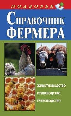 Игорь Скрипник - Справочник фермера. Животноводство, птицеводство, пчеловодство - Читать | Читать онлайн | Читаемые книги читать онлайн бесплатно | booksread-online.com