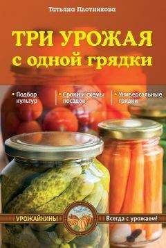 Татьяна Плотникова - Три урожая с одной грядки - Читать | Читать онлайн | Читаемые книги читать онлайн бесплатно | booksread-online.com