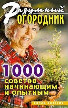 Светлана Дубровская - Разумный огородник. 1000 советов начинающим и опытным - Читать 📖 Читать онлайн 👀 Читаемые книги читать онлайн бесплатно 🔥 booksread-online.com