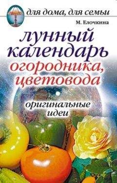 Марина Елочкина - Лунный календарь огородника, цветовода. Оригинальные идеи - Читать 📖 Читать онлайн 👀 Читаемые книги читать онлайн бесплатно 🔥 booksread-online.com