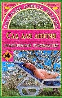 Евгения Сбитнева - Сад для лентяя - Читать 📖 Читать онлайн 👀 Читаемые книги читать онлайн бесплатно 🔥 booksread-online.com