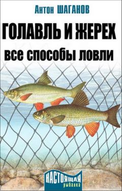 Антон Шаганов - Голавль и жерех. Все способы ловли - Читать 📖 Читать онлайн 👀 Читаемые книги читать онлайн бесплатно 🔥 booksread-online.com