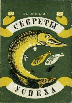 Николай Лопатин - Секреты успеха (Записки рыболова) - Читать | Читать онлайн | Читаемые книги читать онлайн бесплатно | booksread-online.com