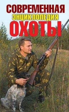 Сергей Ерофеев - Современная энциклопедия охоты - Читать 📖 Читать онлайн 👀 Читаемые книги читать онлайн бесплатно 🔥 booksread-online.com