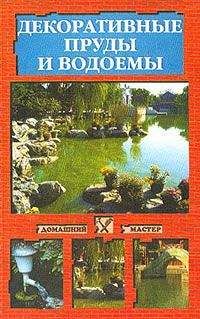 Наталья Иванова - Декоративные пруды и водоемы - Читать 📖 Читать онлайн 👀 Читаемые книги читать онлайн бесплатно 🔥 booksread-online.com